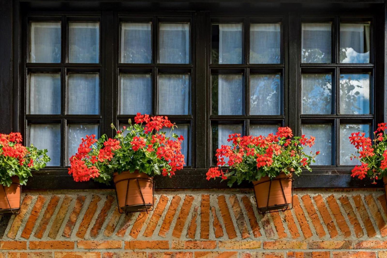 La Posada De Langre Langre  Exteriér fotografie